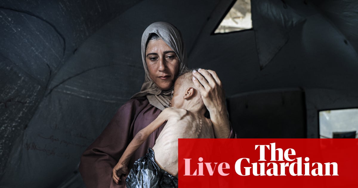 Mass starvation spreading across Gaza, aid agencies warn, as pressure on Israel grows – Middle East crisis live