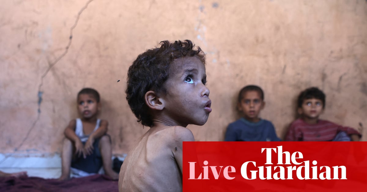 UK, France and Germany call for immediate end to ‘humanitarian catastrophe’ in Gaza and say Israel must lift aid restrictions – live