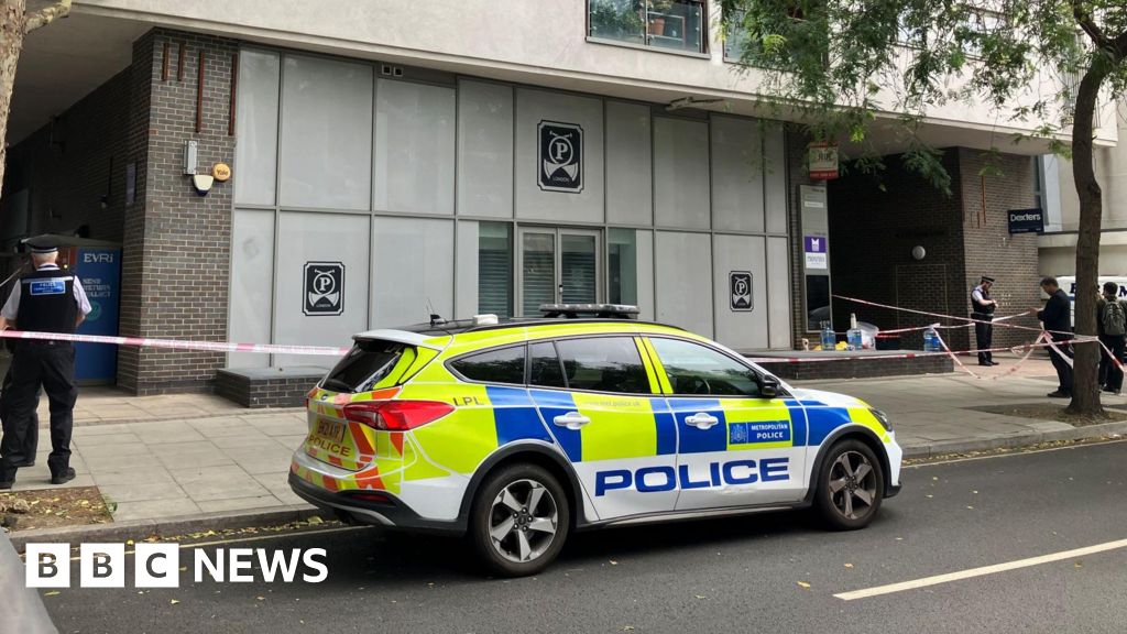 Man arrested after two killed in quadruple stabbing in south London