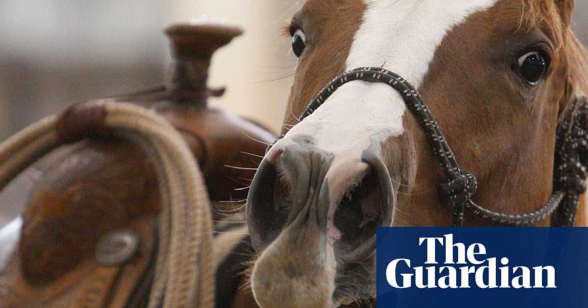 Study reveals whistling secret of horses’ whinny